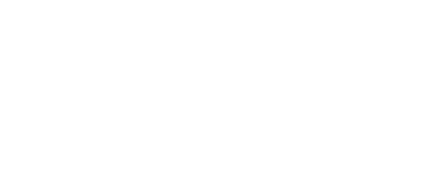 Seawall point logo gray and white